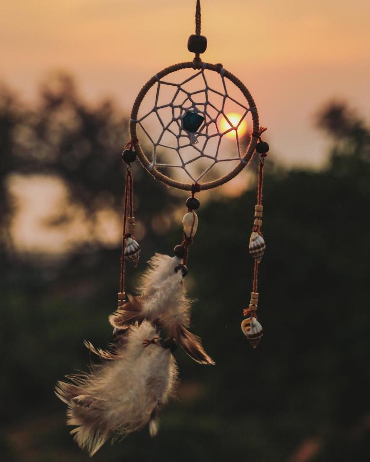 Dreamcatcher House & Hostel At Arambol Beach Buitenkant foto