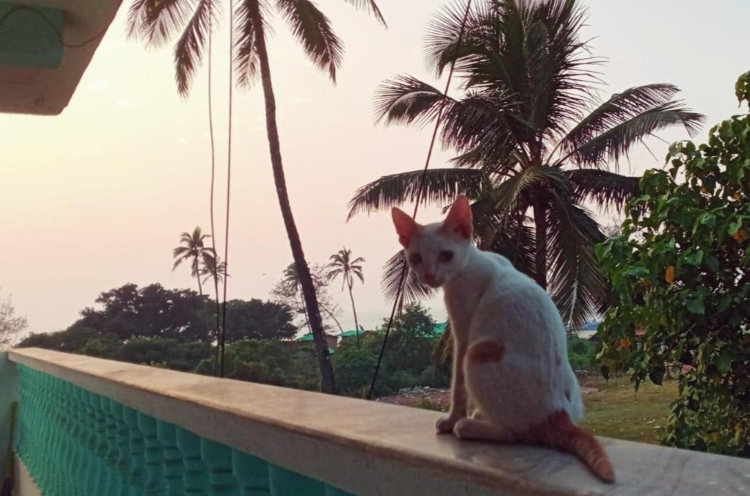 Dreamcatcher House & Hostel At Arambol Beach Buitenkant foto